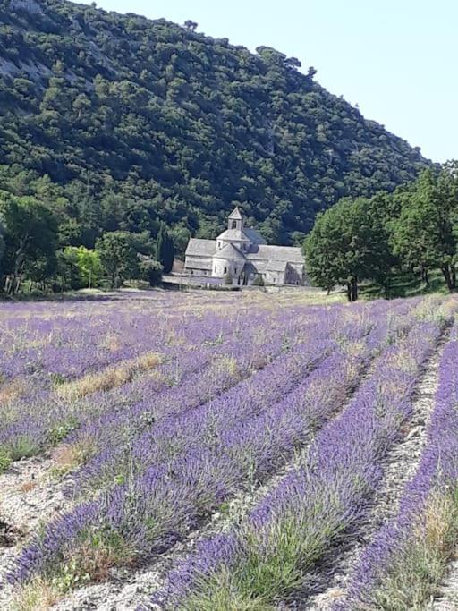 Bastidon Plein Sud Villa Горд Екстериор снимка