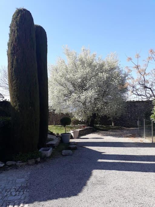 Bastidon Plein Sud Villa Горд Екстериор снимка